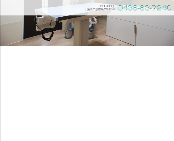 市原市牛久の歯科、かずさ犬猫クリニック